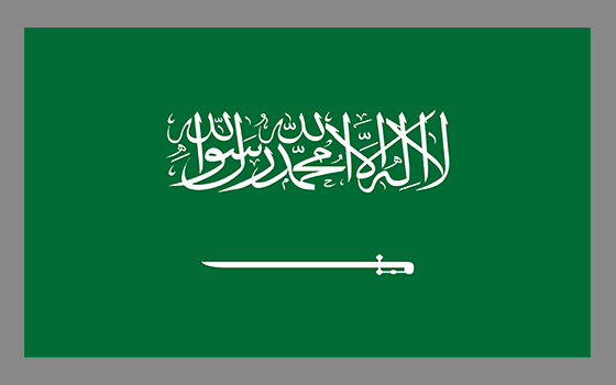 
                                    السعودية                                