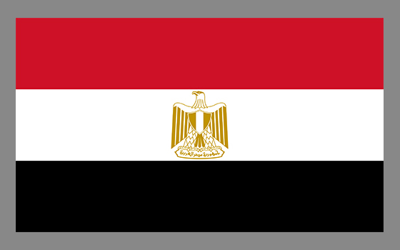 
                                    مصر                                